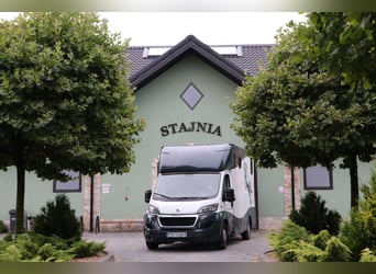 Transport van paarden / Paardentransport / Paardenvervoer