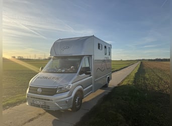 Crafter 50 Dickenherr Paardenwagen transporter