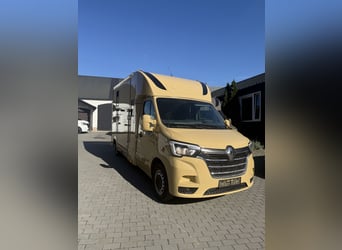 Renault Master 2022 | Nieuwe 5-persoons paardenvrachtwagen voor hengst