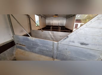 MAN Pferdetransporter mit Stallzelt ohne TÜV