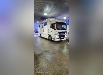 MAN  TGS 18.330   7 HORSES 