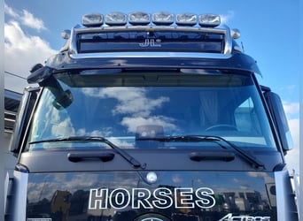 Mercedes-Benz Actros 2551 Horse Truck + Living (2017) —  5–6 horses — 23.236 km — Euro 6