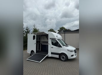 Mercedes-Benz Sprinter Paardentrolley