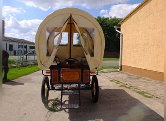New covered wagon