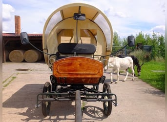 New covered wagon