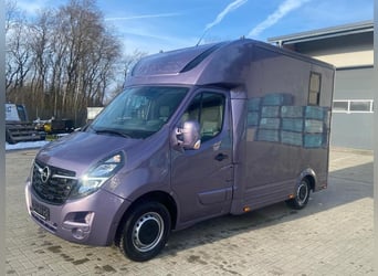 Paardentransporter Opel Movano 3,5 ton, 2 plaatsen, bouwjaar 2021