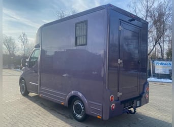 Paardentransporter Opel Movano 3,5 ton, 2 plaatsen, bouwjaar 2021