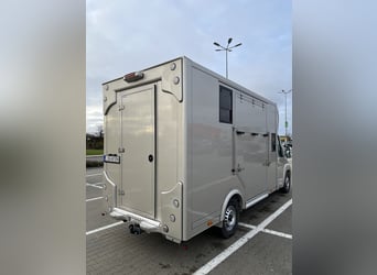 Peugeot Boxer 2024 paardentrailer, slechts 29.000 km, nieuwe opbouw - nog onder garantie