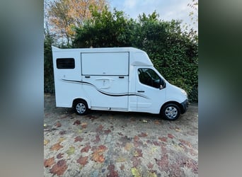 Renault Ameline paardenvervoerder