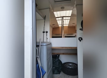 Renault dci120 Pferdetransporter