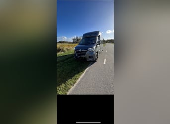 Renault master 2022 hengstenuitvoering 