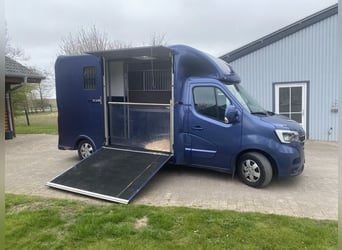 Renault Master Zwei-Pferdetransporter