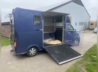 Renault Master Zwei-Pferdetransporter