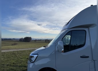 Renault Pferde-Sprinter – 2-Pferde