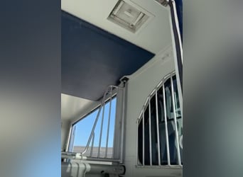 Renault Theault paardenvervoerder