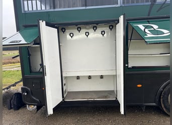 STX LKW Pferdewohnmobil Ivevo Stralis