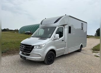 Paardentransporter Mercedes Sprinter, 200 pk, opbouw, bouwjaar 2026, 5 zitplaatsen