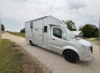 Paardentransporter Mercedes Sprinter, 200 pk, opbouw, bouwjaar 2026, 5 zitplaatsen