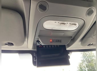 Paardentransporter te koop: Renault Master 2024
