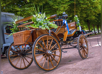Historische Kutsche - Ungarischer Jagdwagen - Hochzeitskutsche - 1 und 2 spännig
