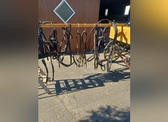 Koets te koop