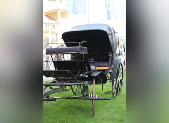 Viktoria Kutsche 1895 