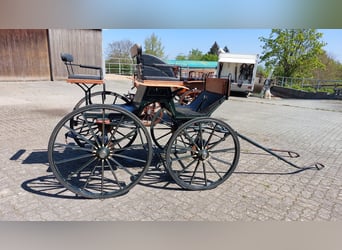 Dressuurwagen voor grote paarden, 1-paards tuigwagen
