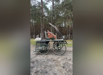 Single marathon carriage