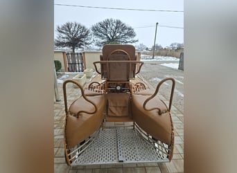 Dominiak pony pair marathon 