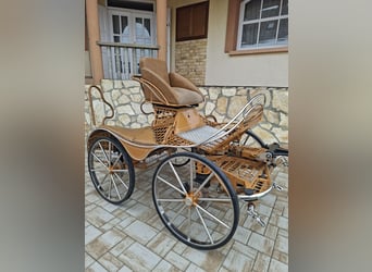 Dominiak pony pair marathon 