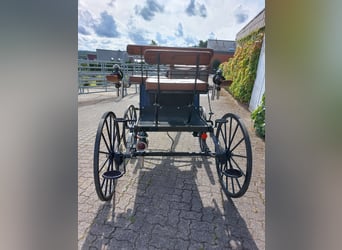 Dressuurwagen voor ponys