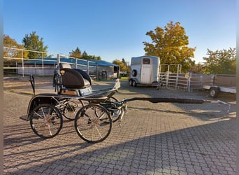 Marathon- en terreinwagen voor pony, 2- en 4-spannen