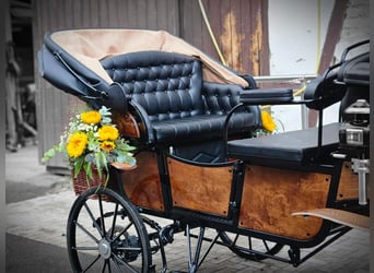 Mooie Vis-à-Vis huwelijkskoets voor pony