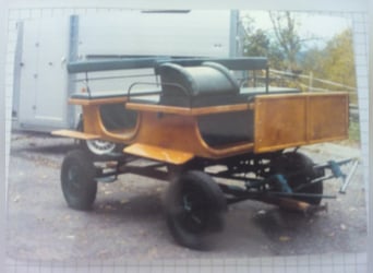 Prachtige tweespan ponywagen