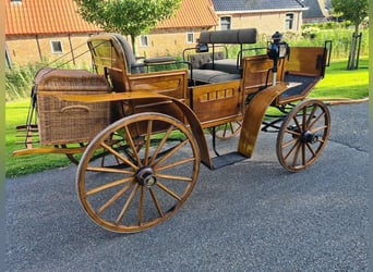 Authentieke jachtwagen antiek rijtuig koets + Marathonwagen