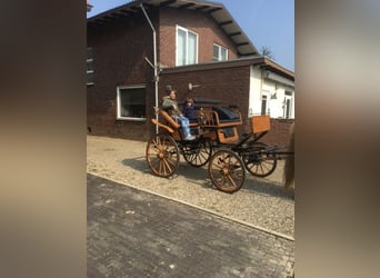 mooie wagonette type jachtwagen.