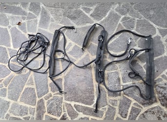 Sieltec Pur Einspännergeschirr Größe 2 Shetty/Pony mit Zubehör