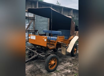 Koets met pony voor agritourisme