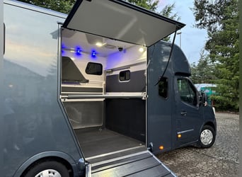 Horsetruck-Koniowóz Renault Master