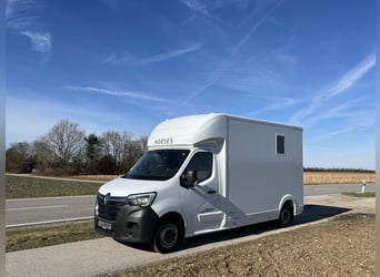 Renault ROELOFSEN YORSE 2-Pferdetransporter SONDERMODELL SOFORT VERFÜGBAR