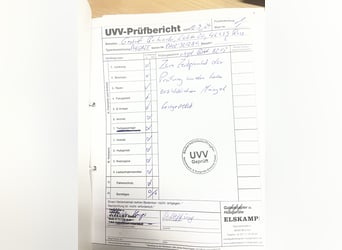 Nissan-Gas-Gabelstapler-2,5to