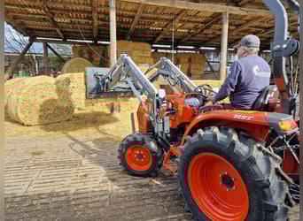 Kompakttraktor 38 PS + Frontlader | Kubota L1-382 | NEU