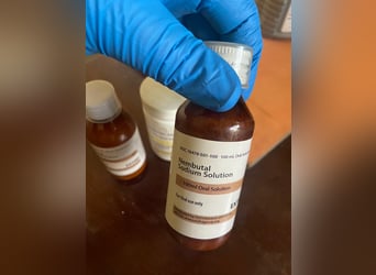 Euthanasie und Veterinärdienste
