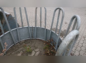 Rundraufen von Patura