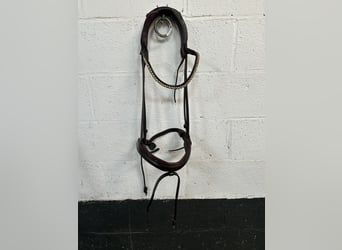 The Equemist bridle