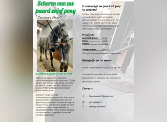 scheren van uw paard en of pony