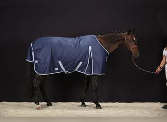 2 Outdoor Rugs 600D-400g 135/185cm
