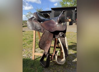 Westernzadel Cicrle Y