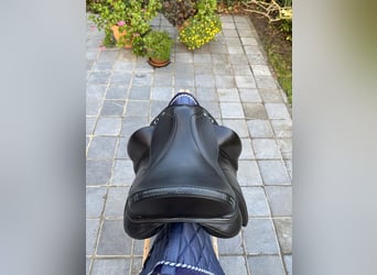 Acavallo Raffaello dressuurzadel, 17,5 inch