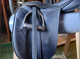 Ainsly Vanguard dressuurzadel